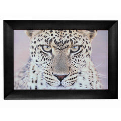 Leopard Portrait Wall Art 110X80Cmh. African-Themed Artwork. Solid Hardwood Frame. High Quality Appearance.