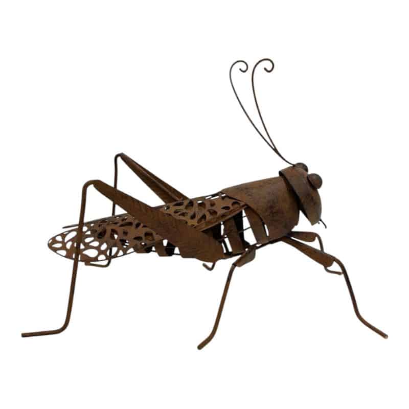Lucky Praying Mantis w/Leafy Rear Legs 40x23x26cm