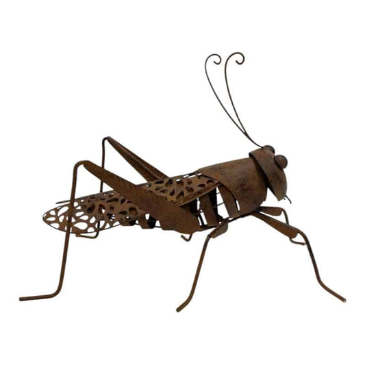 Lucky Praying Mantis w/Leafy Rear Legs 40x23x26cm