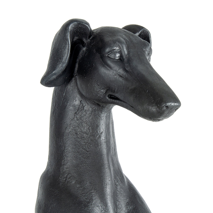 Majestic Sitting Greyhound Statue 35x26x82cm