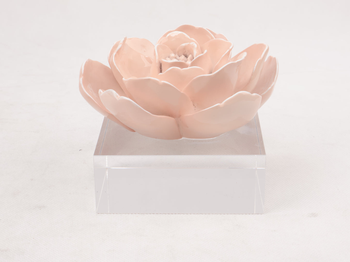 86A Resin Floral W/ Acrylic Base : Pink Camelia
