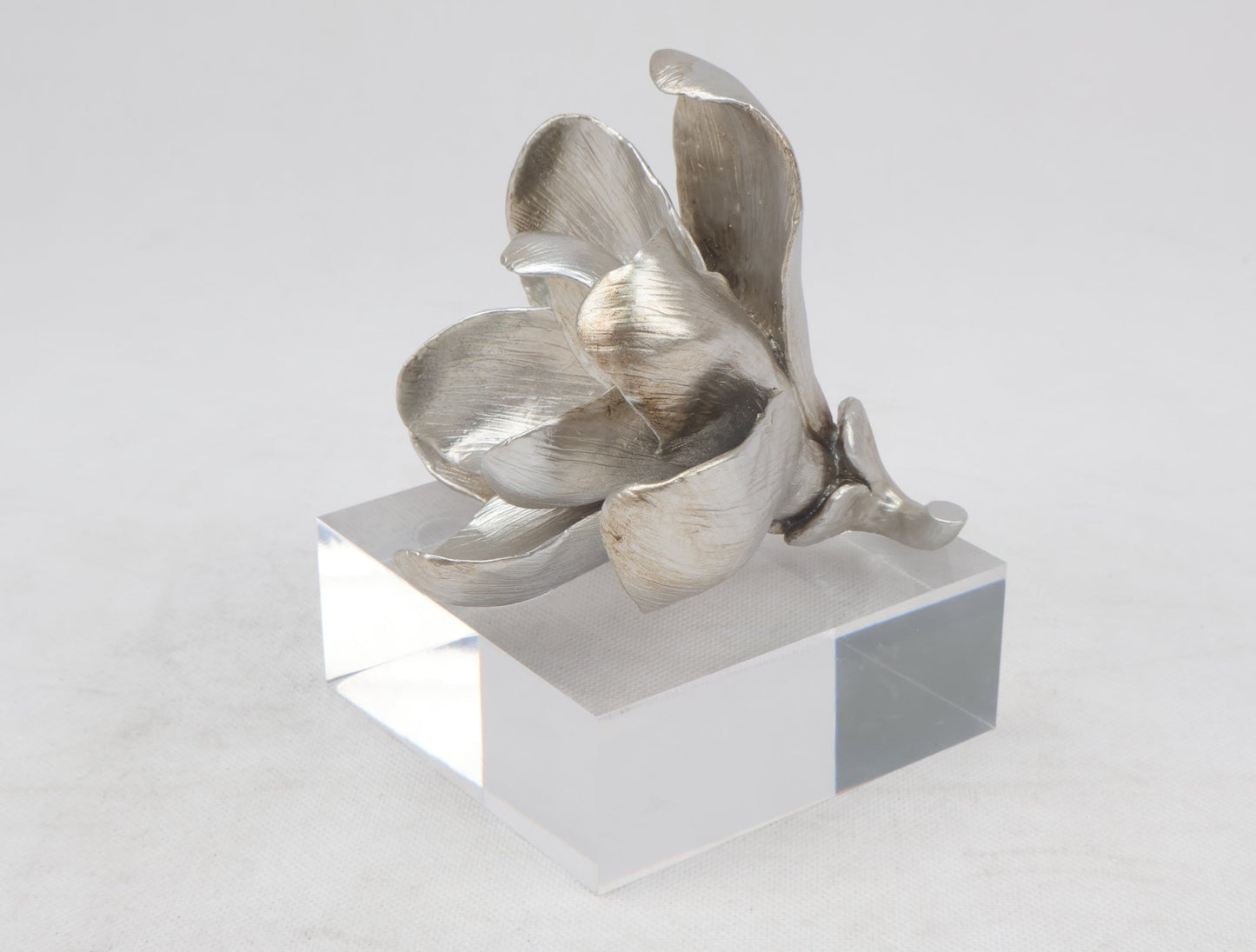 86B Resin Floral W/ Acrylic Base : Silver Magnolia