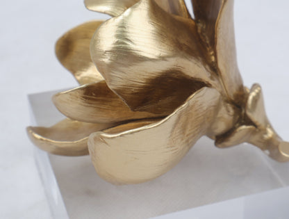 86C Resin Floral W/ Acrylic Base : Gold Magnolia