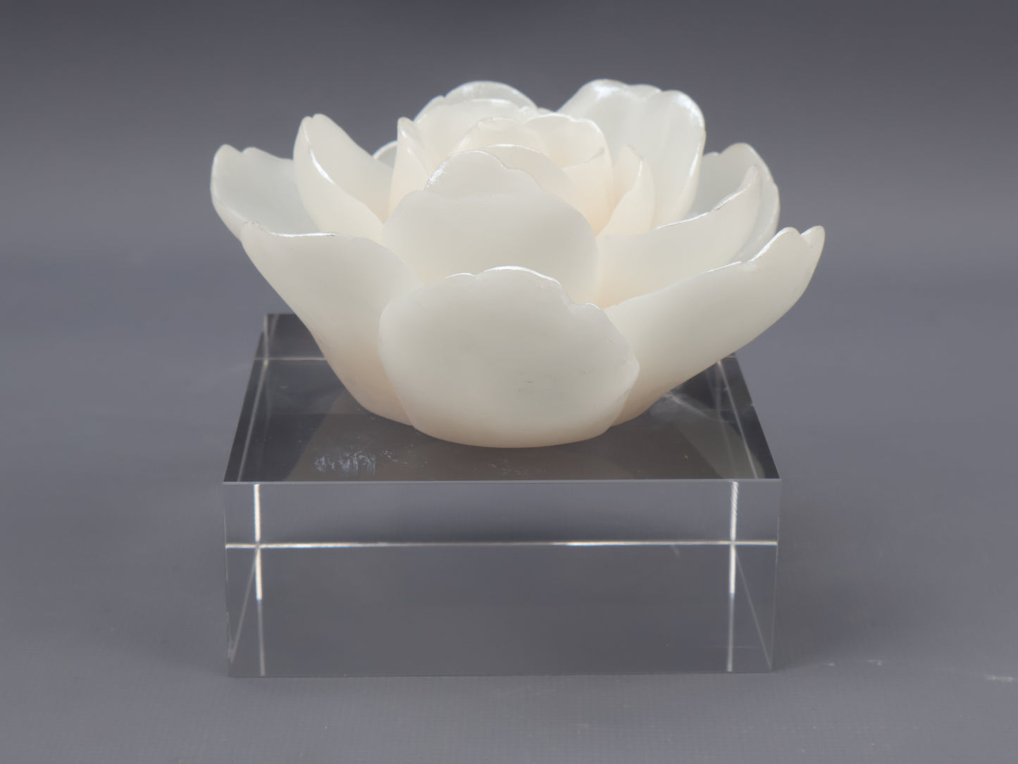 86D Resin Floral W/ Acrylic Base : Pearl Lotus
