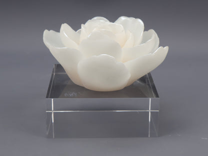 86D Resin Floral W/ Acrylic Base : Pearl Lotus