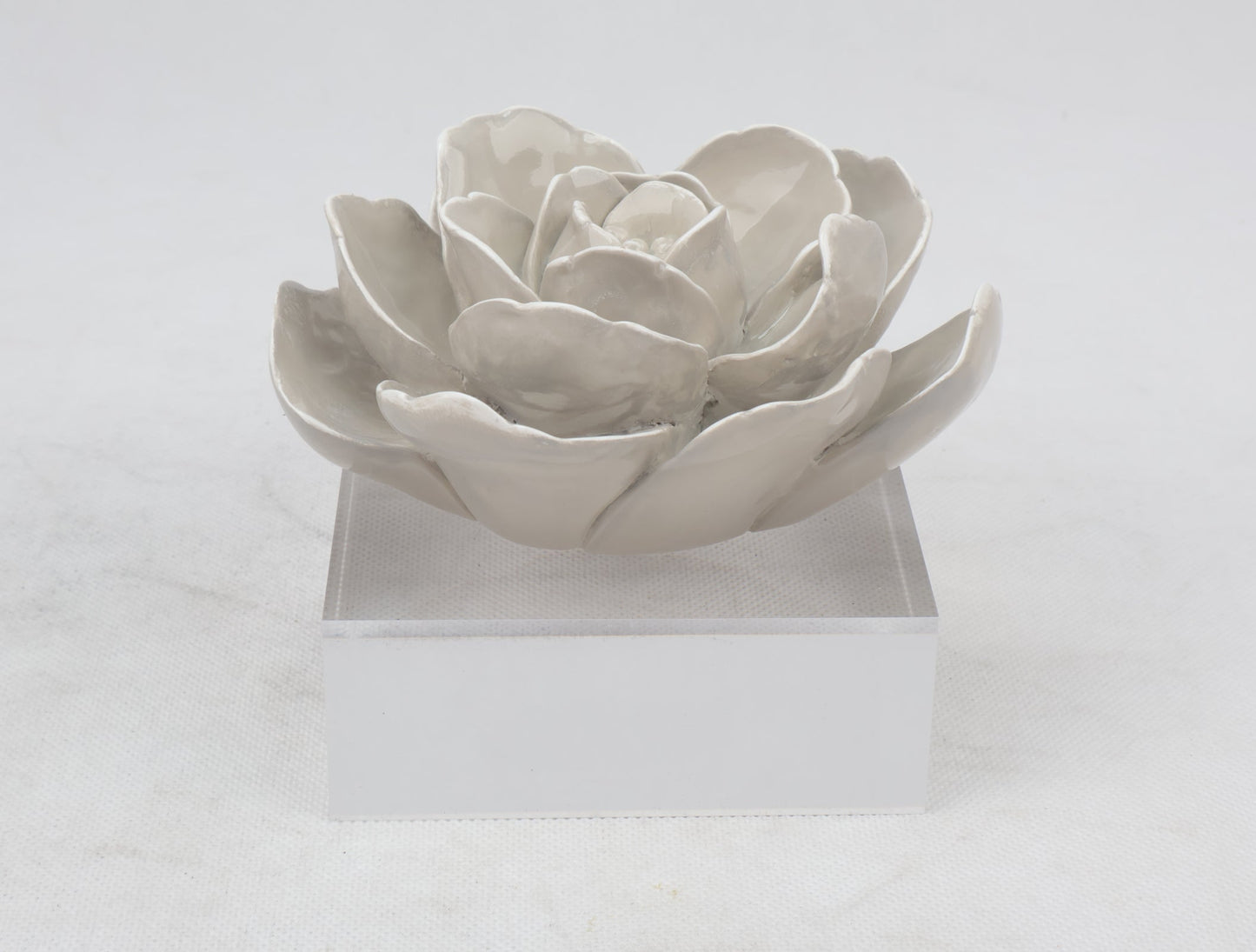 86 Resin Floral W/ Acrylic Base : Grey Camelia