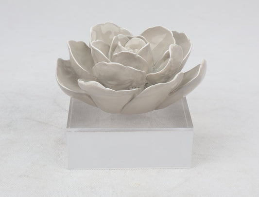 86 Resin Floral W/ Acrylic Base : Grey Camelia