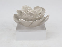 86 Resin Floral W/ Acrylic Base : Grey Camelia