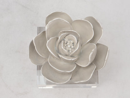 86 Resin Floral W/ Acrylic Base : Grey Camelia