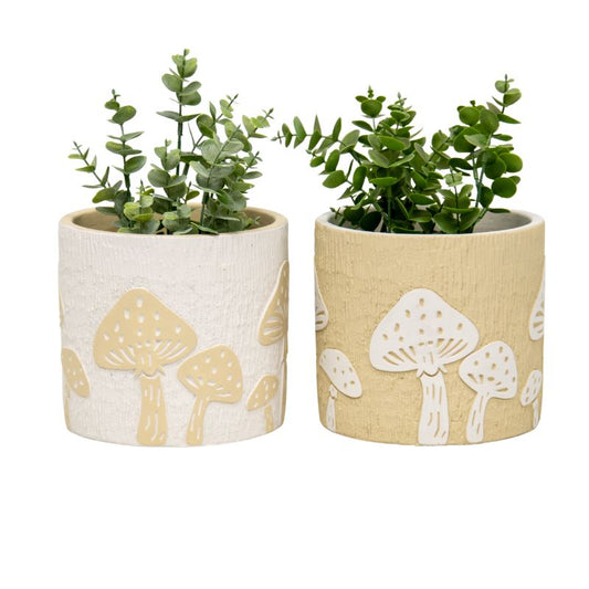 Set/2 Asst Mushroom Planters w/Hole+ Plug 17.5x17.5x16cm