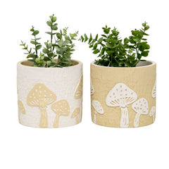 Set/2 Asst Mushroom Planters w/Hole+ Plug 17.5x17.5x16cm