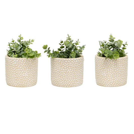 Set/3 Moulded Abstract Planters w/Hole+ Plug 14x14x13cm