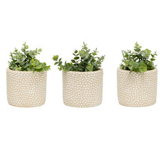 Set/3 Moulded Abstract Planters w/Hole+ Plug 14x14x13cm