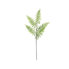 Rabbit’s Foot Fern - Faux Greenery - 65cm