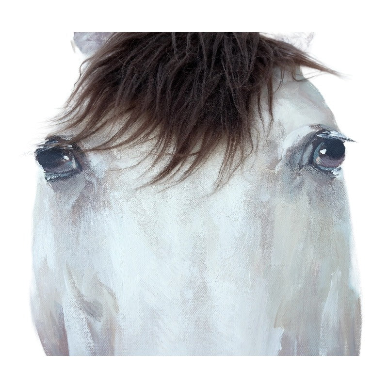 Horse Mugshot w/Artificial Hair Framed Canvas Wall Art 50x60cm