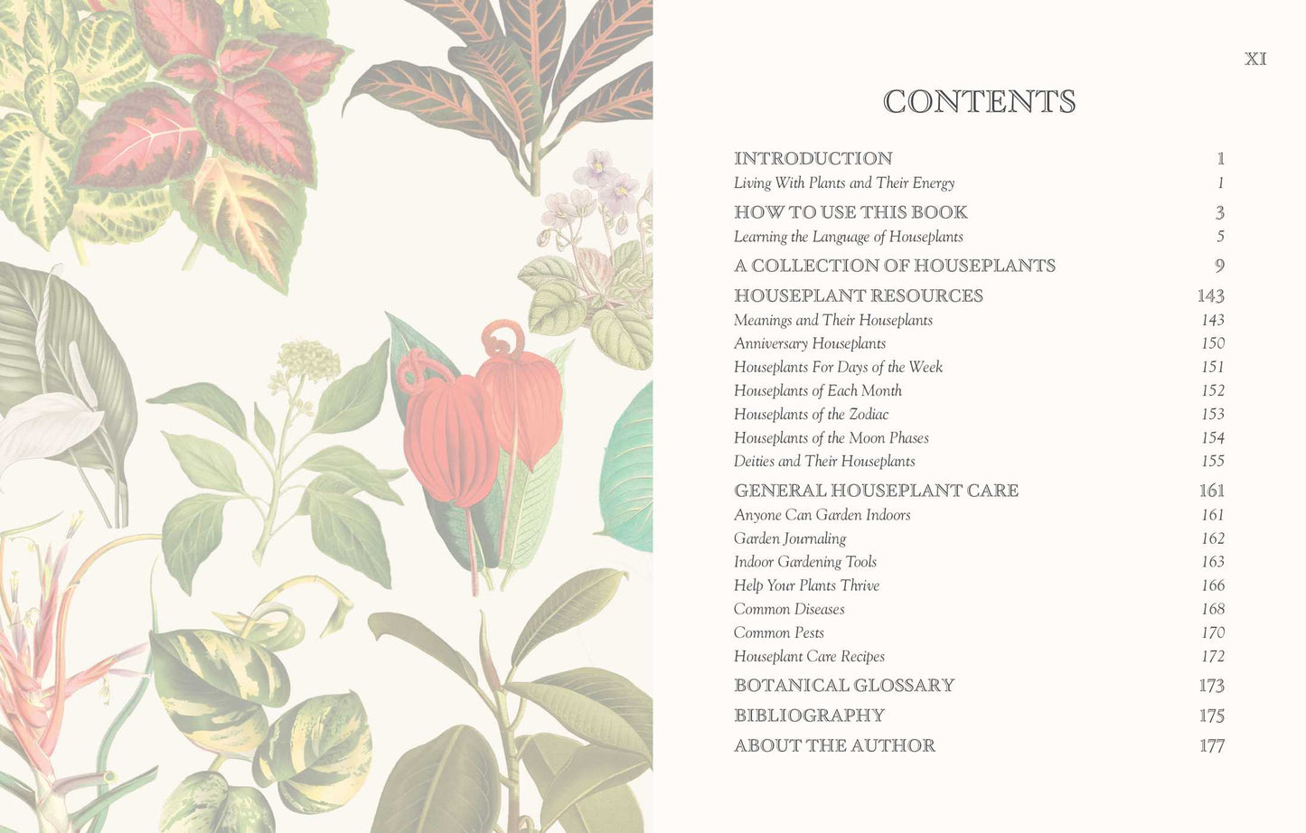Language of Houseplants: Plants For Home and Healing