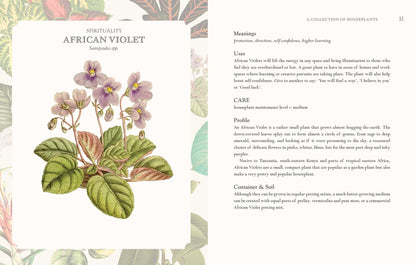 Language of Houseplants: Plants For Home and Healing