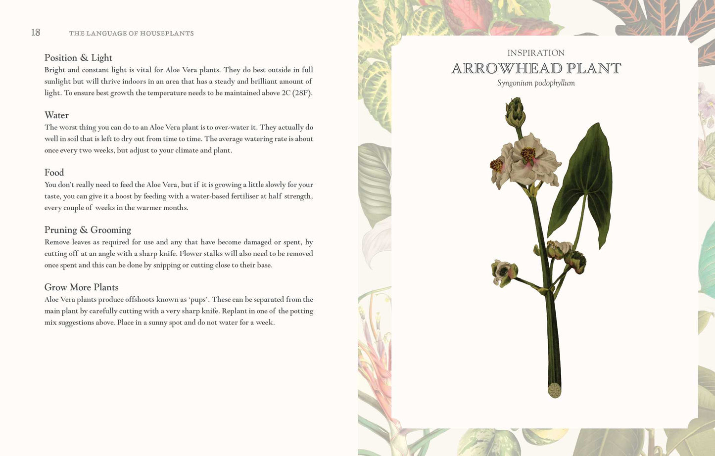 Language of Houseplants: Plants For Home and Healing