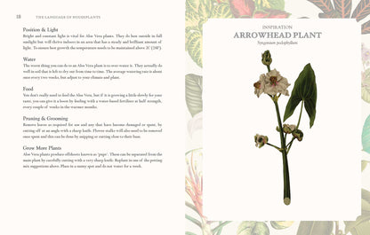 Language of Houseplants: Plants For Home and Healing