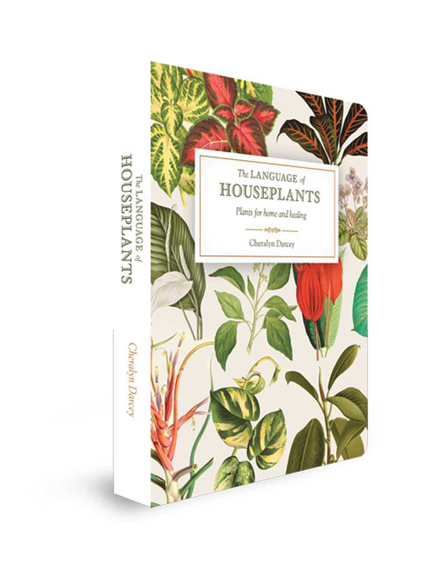 Language of Houseplants: Plants For Home and Healing