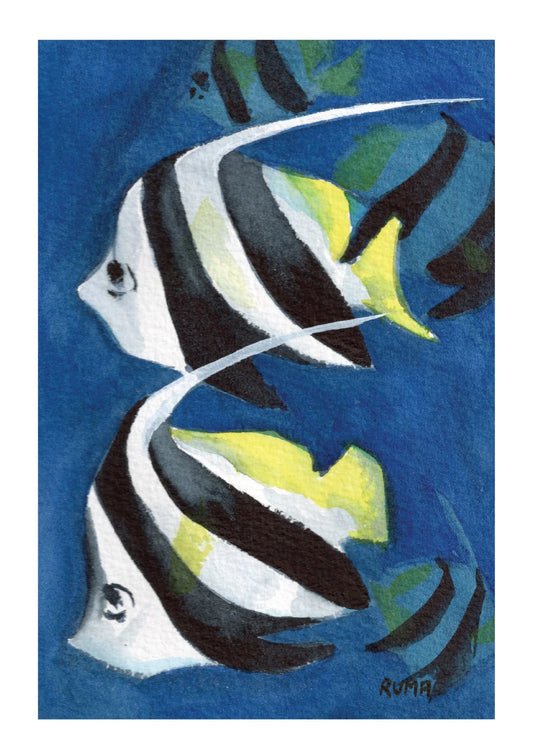 Angel Fish