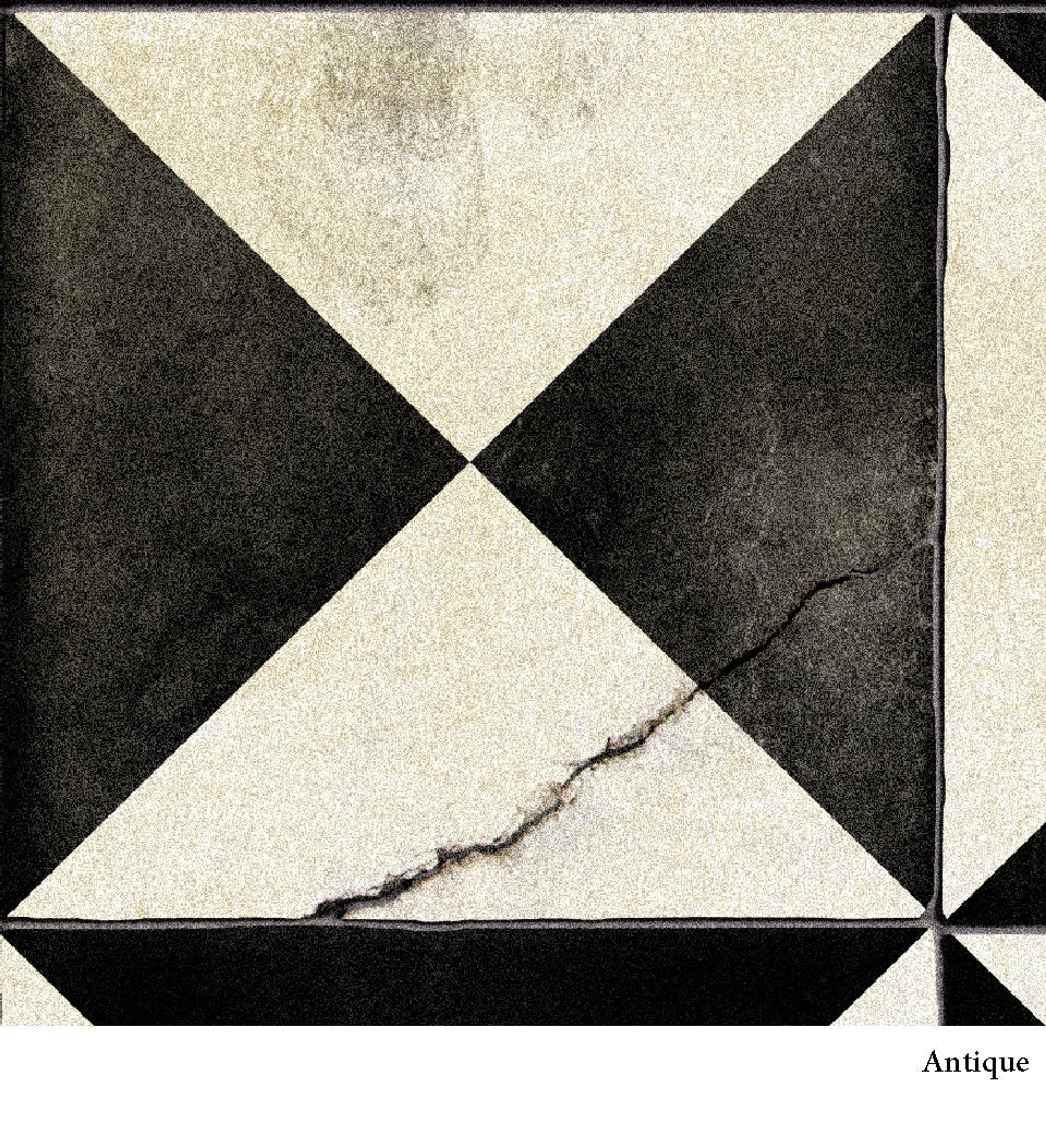 Borgo Black & White Antique Vinyl Rug Alternative View