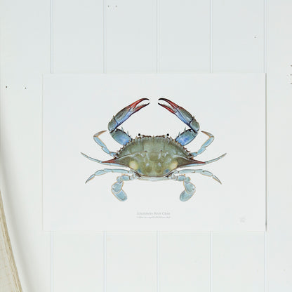 Louisiana Blue Crab Print