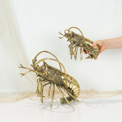 King Lobster (M) #0310