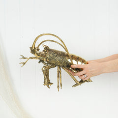 King Lobster (L) #0311