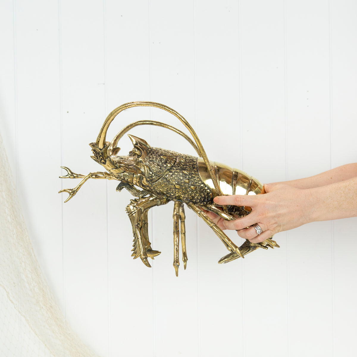 King Lobster (L) #0311