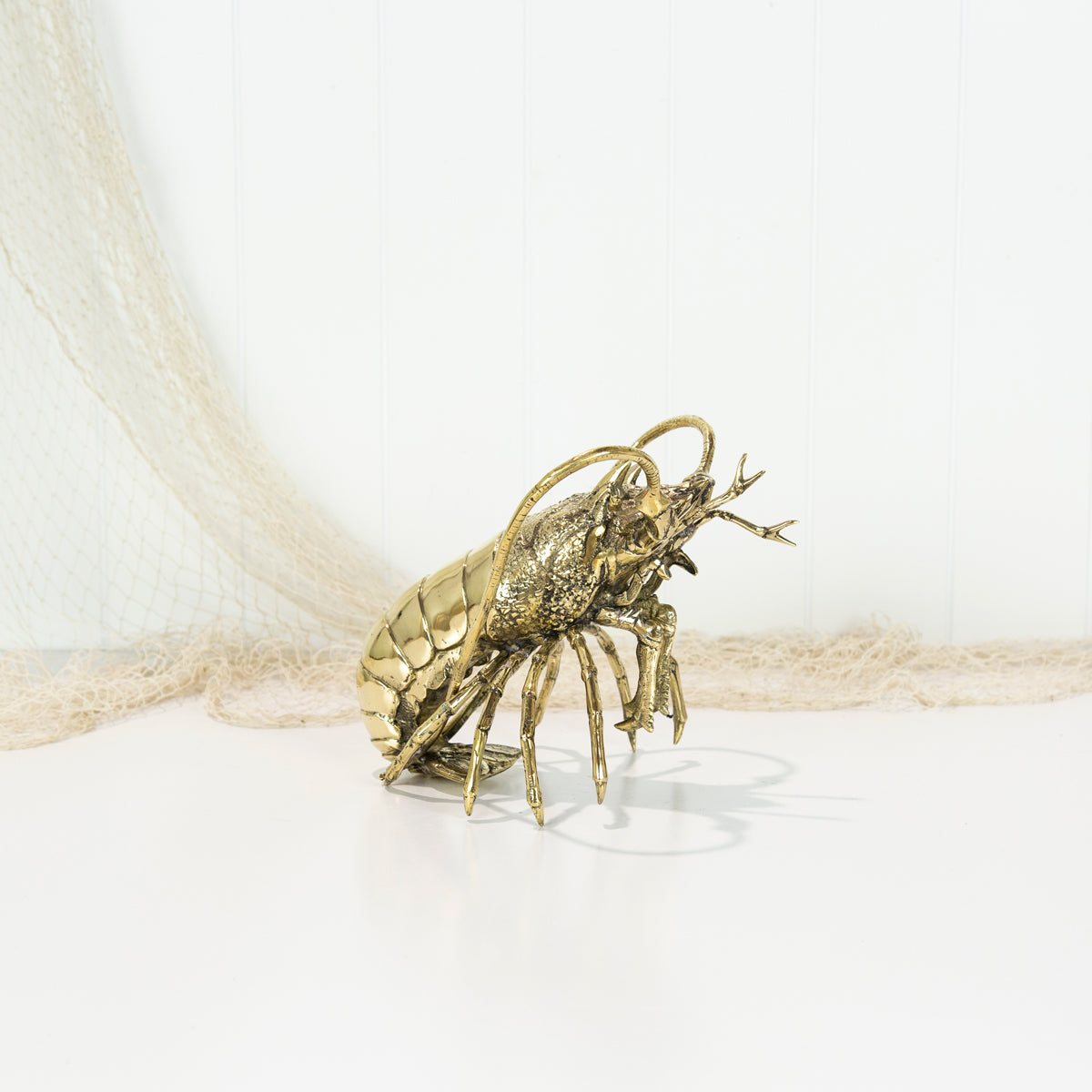 King Lobster (M) #0310