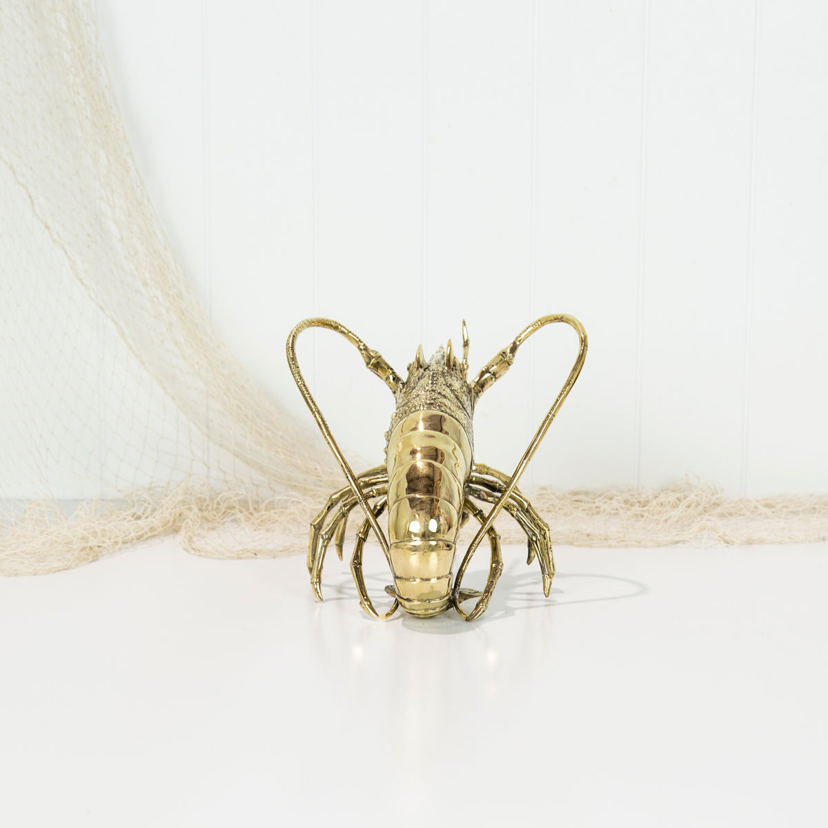 King Lobster (M) #0310
