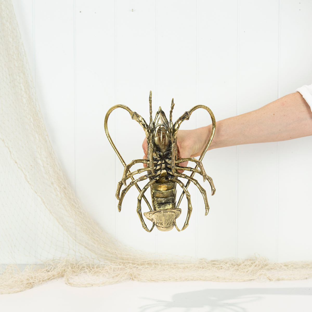 King Lobster (M) #0310