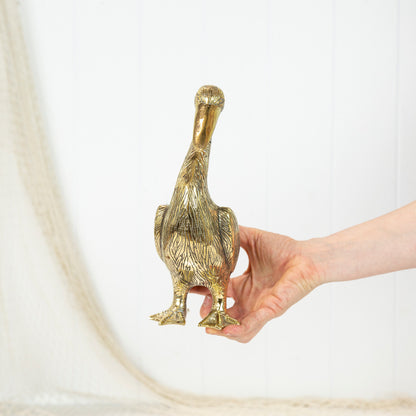 Pelican (Xl) Shiny #0328