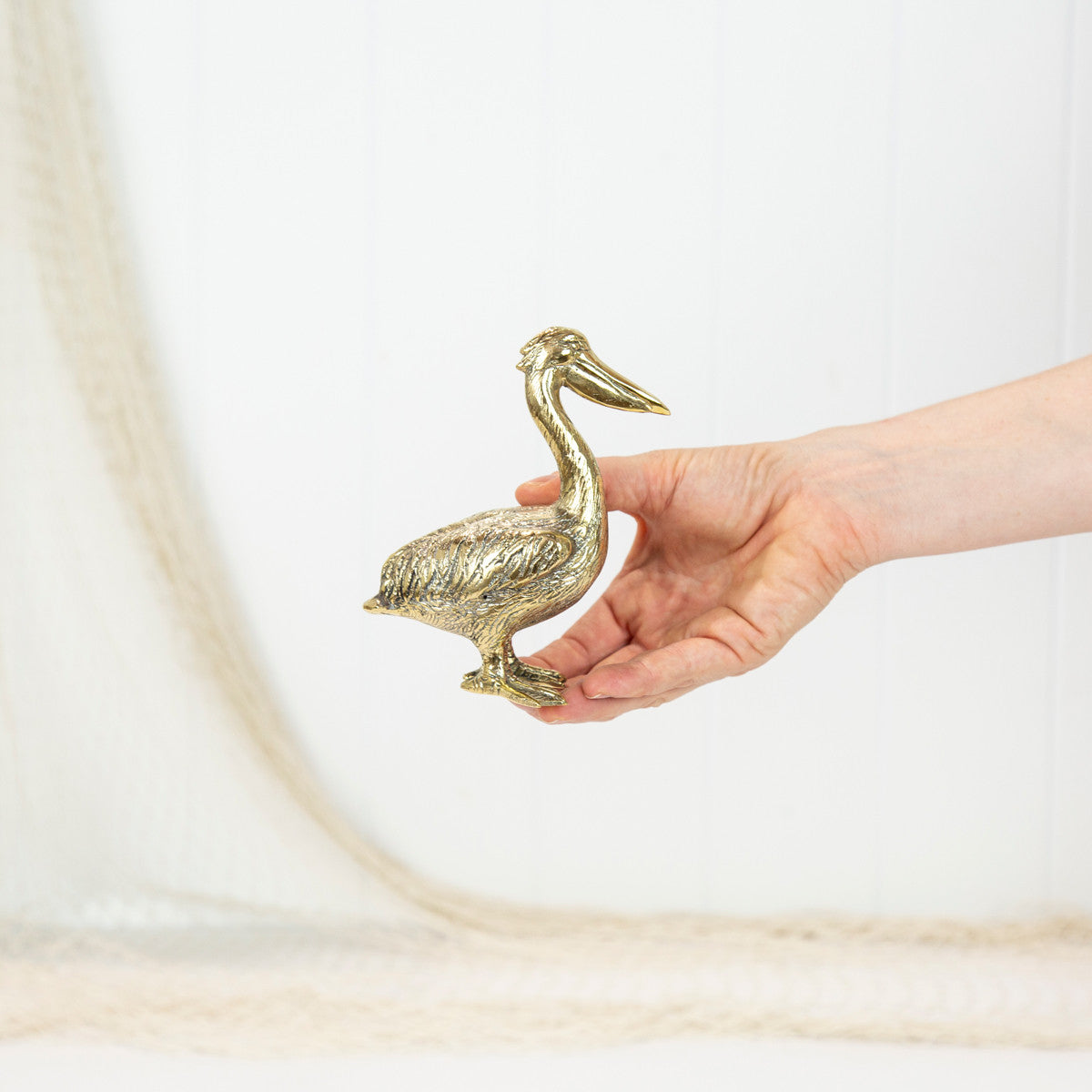 Pelican (M) Shiny #0190