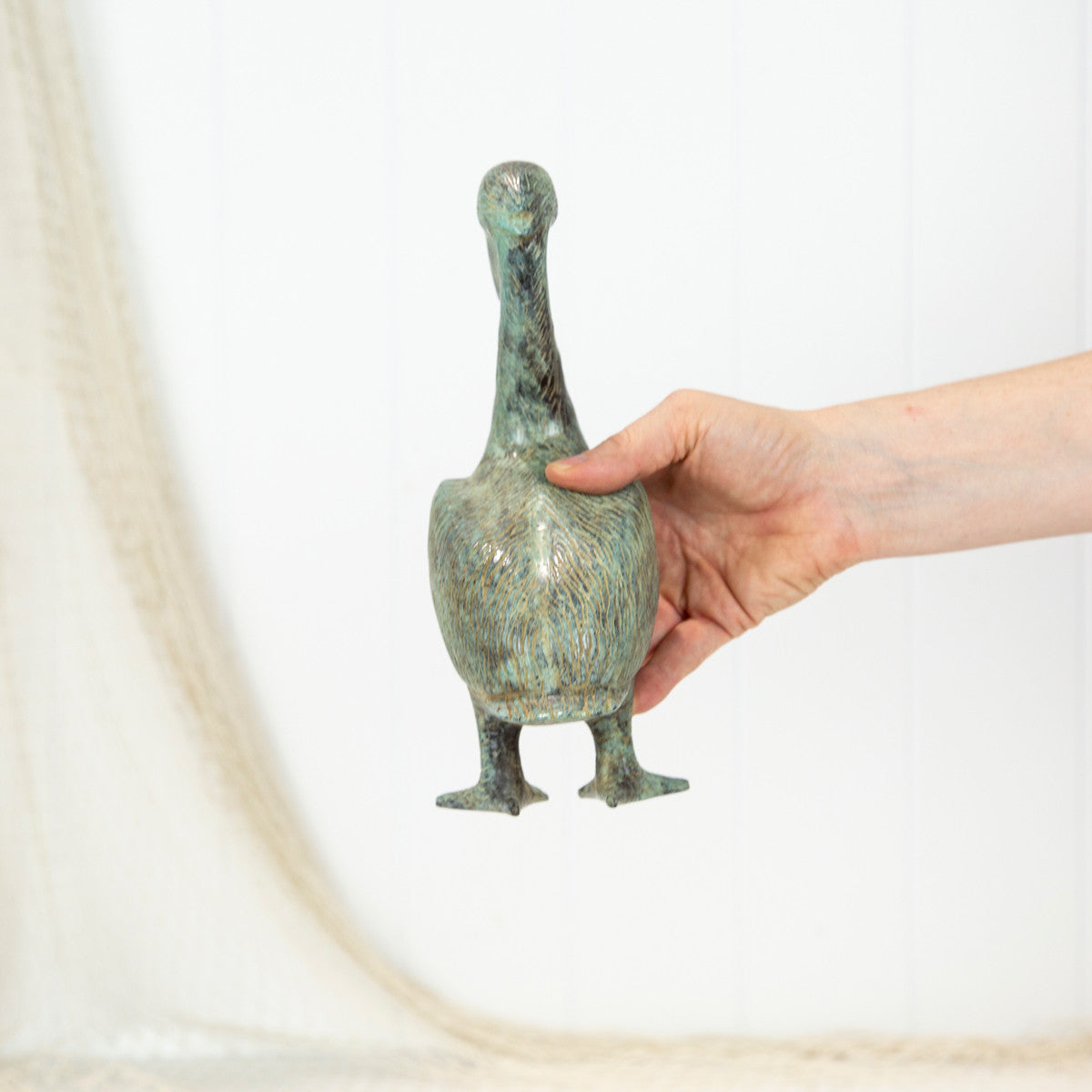 鹈鹕（Xl）年龄#0327