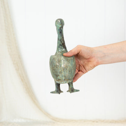 鹈鹕（Xl）年龄#0327