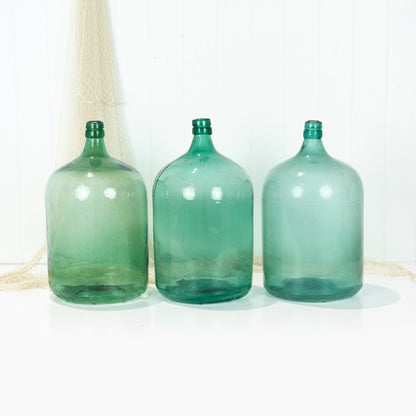 Demijohns #7062