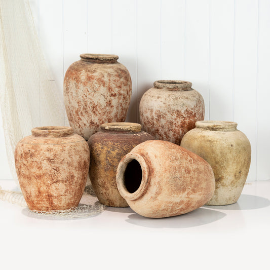 Borneo Water Pot #654