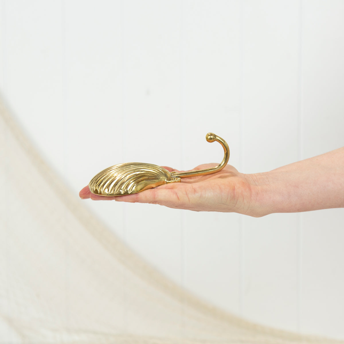 Scallop Shell Hook - Shiny #0389