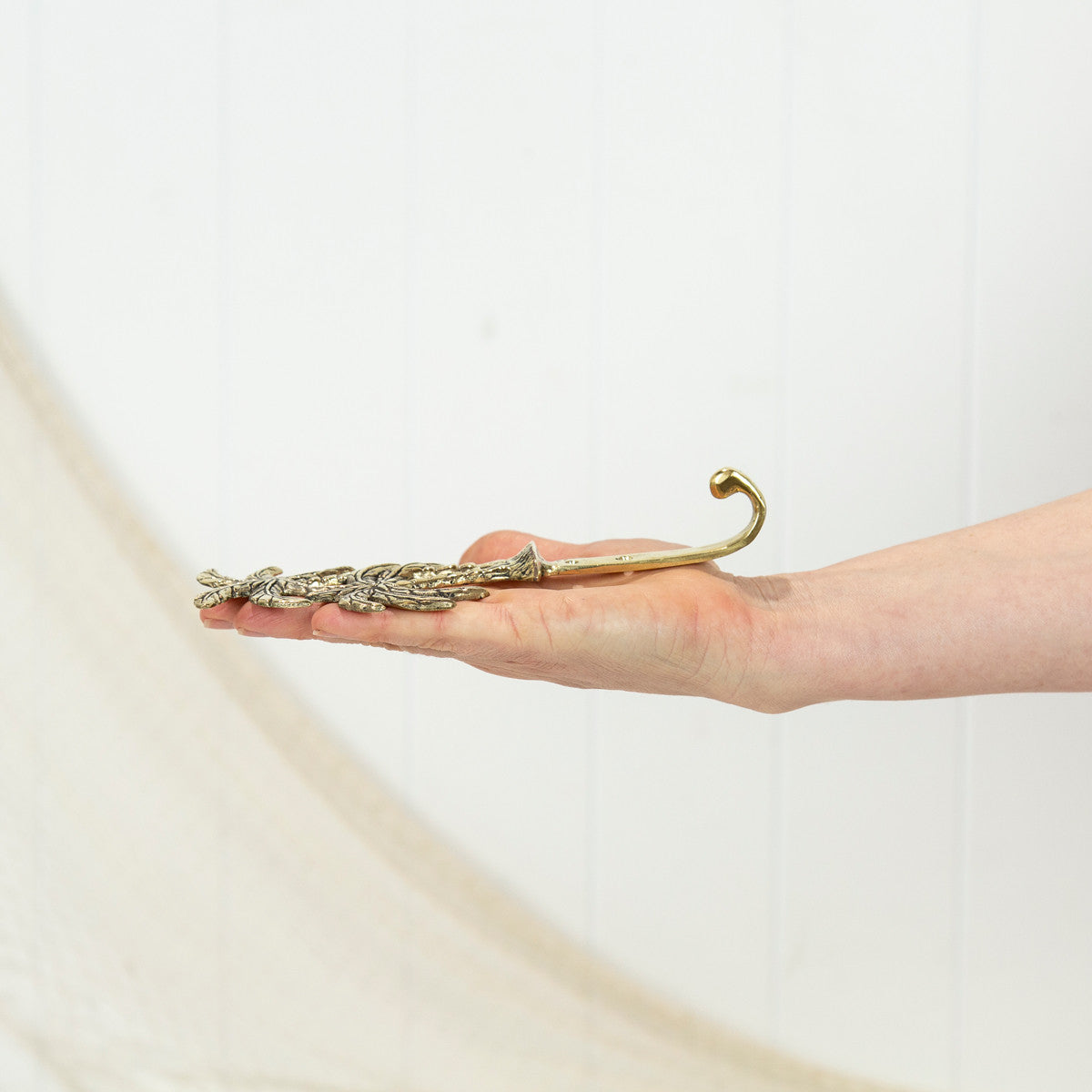 Bahamas Hook - Shiny #0382