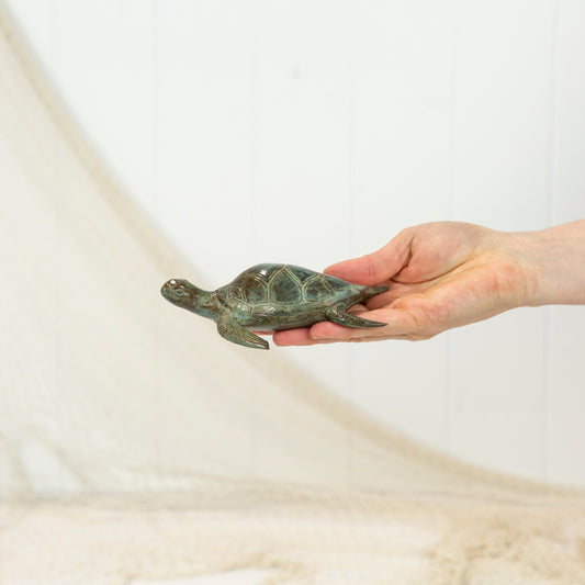 Turtle Aged (M) #0370