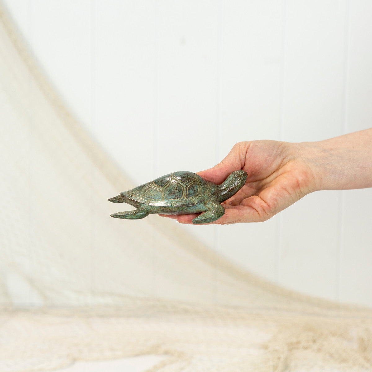 Turtle - Aged (M) #0370