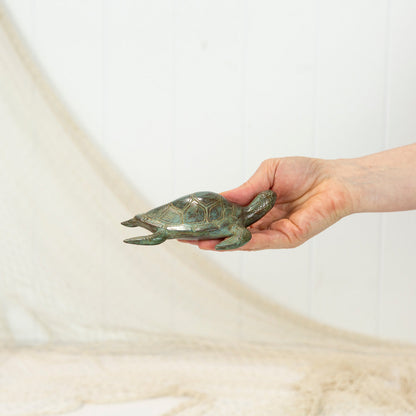 Turtle - Aged (M) #0370