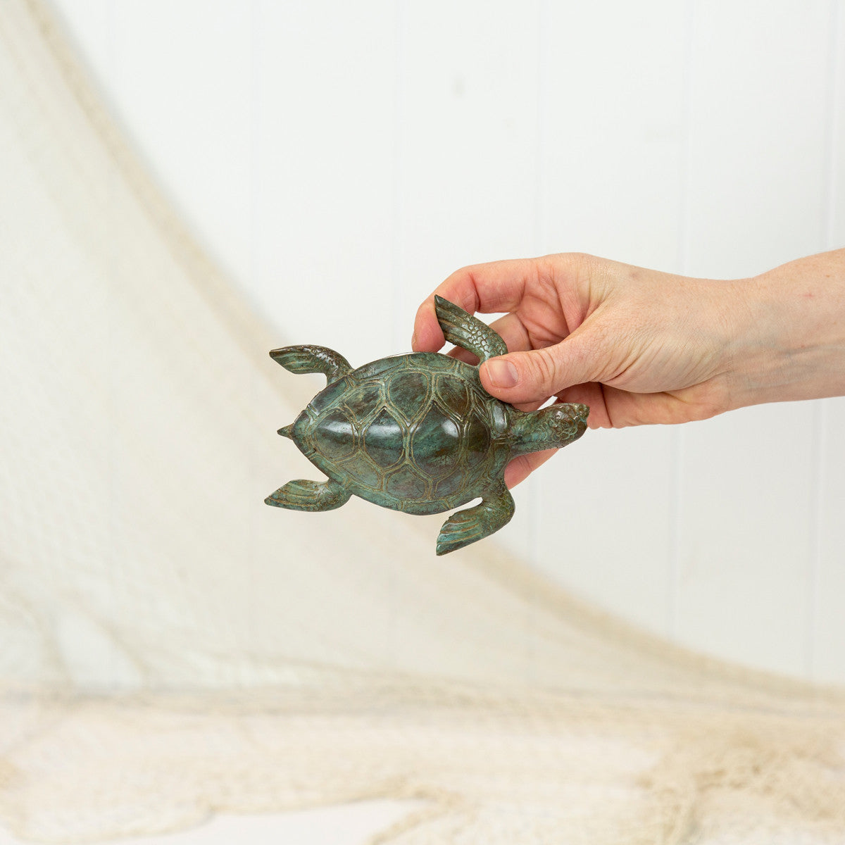 Turtle - Aged (M) #0370