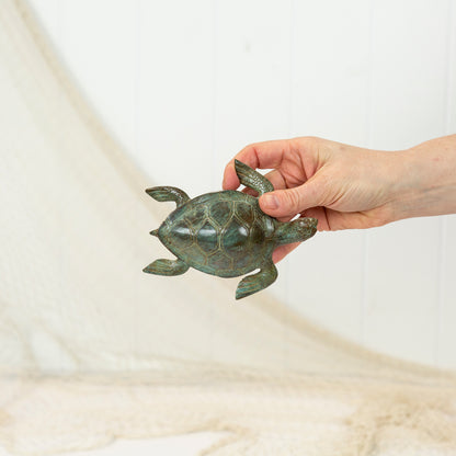 Turtle Aged (M) #0370