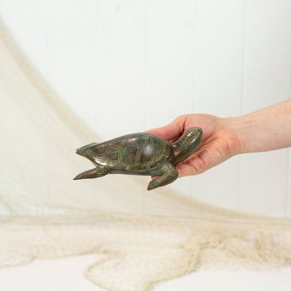 Turtle - Aged (L) #0371