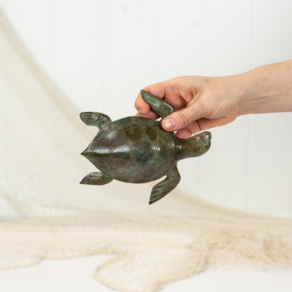 Turtle - Aged (L) #0371