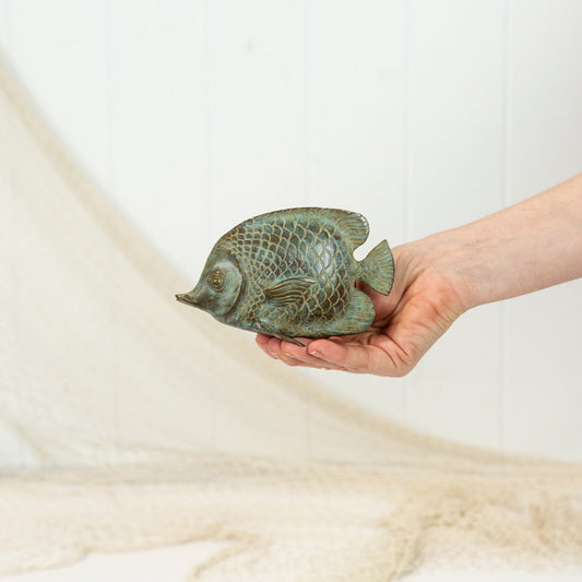 Angel Fish - Aged #0393