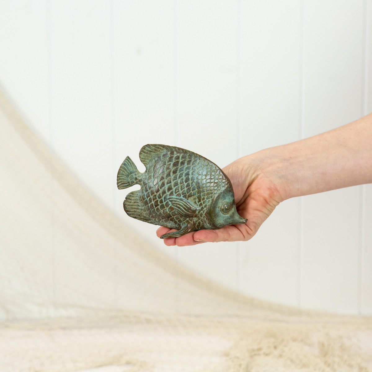 Angel Fish - Aged #0393